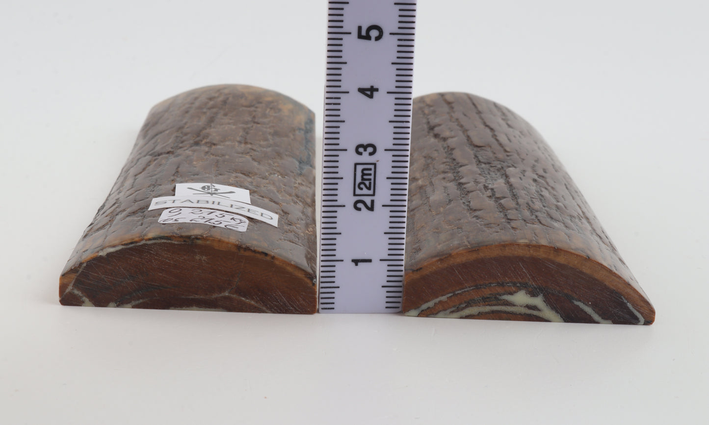 Stabilized mammoth bark scales