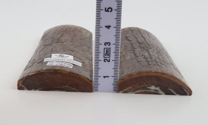Stabilized mammoth bark scales