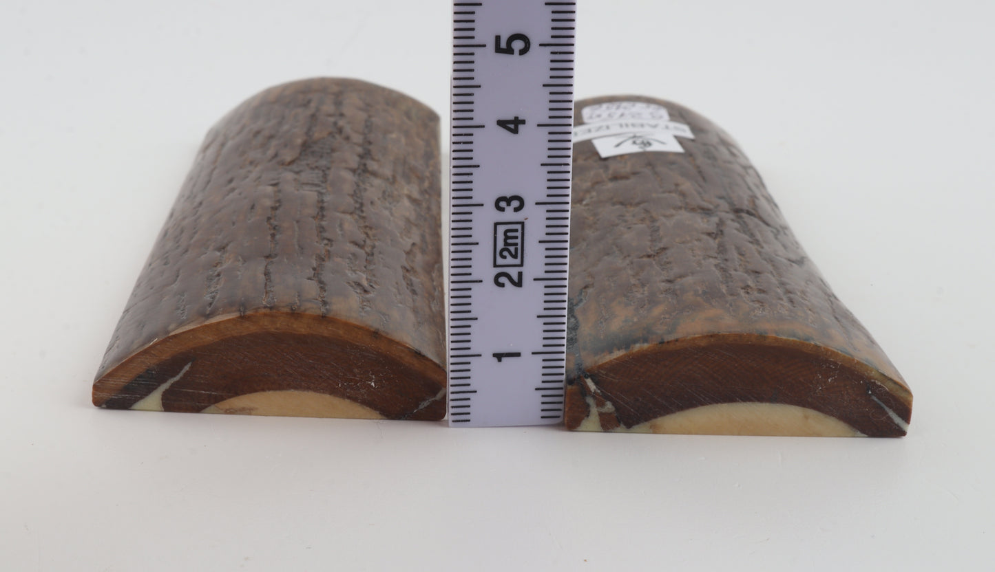 Stabilized mammoth bark scales