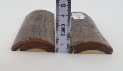 Stabilized mammoth bark scales