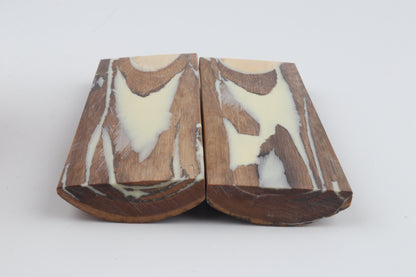 Stabilized mammoth bark scales