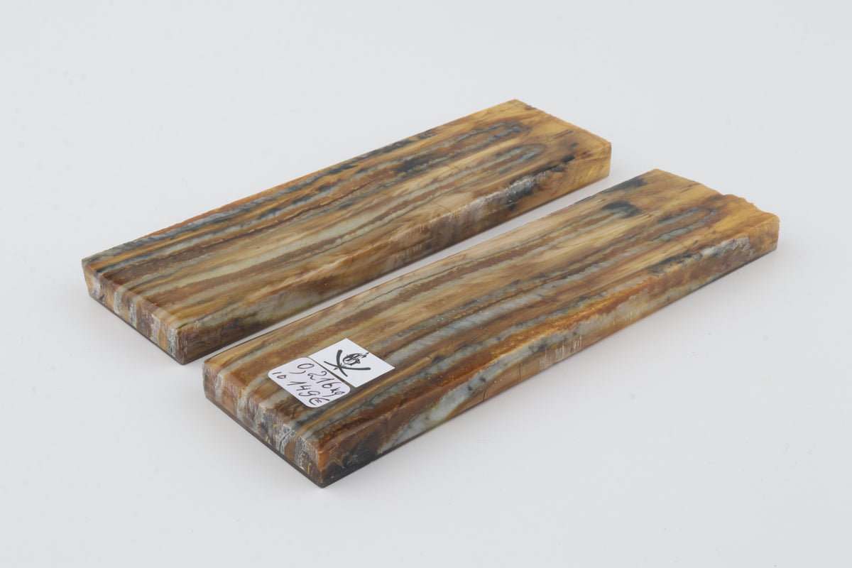 Stabilised mammoth molar scales