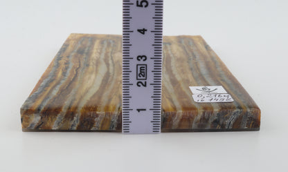Stabilised mammoth molar scales