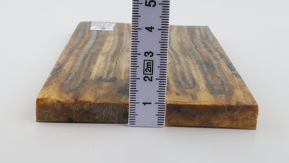 Stabilised mammoth molar scales