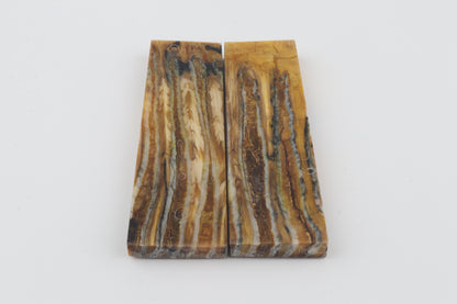 Stabilised mammoth molar scales