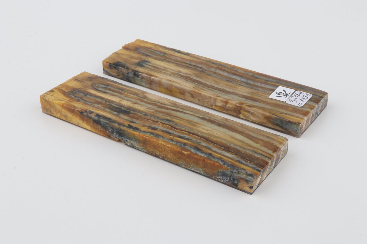 Stabilised mammoth molar scales