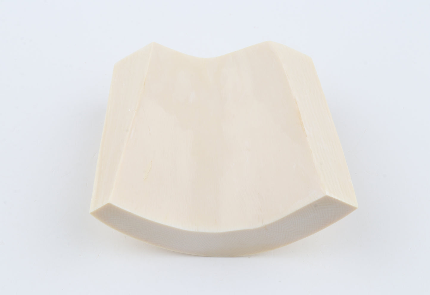 White mammoth ivory segment