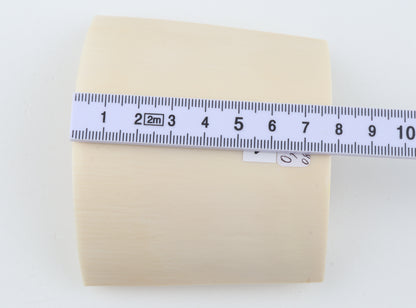 White mammoth ivory segment