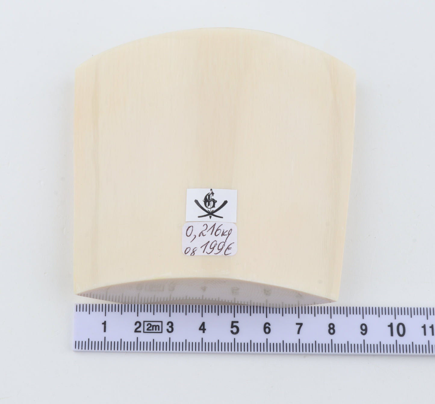White mammoth ivory segment