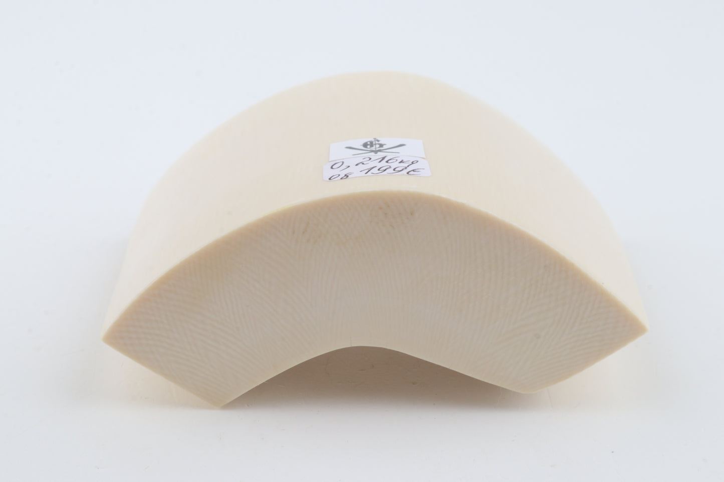 White mammoth ivory segment