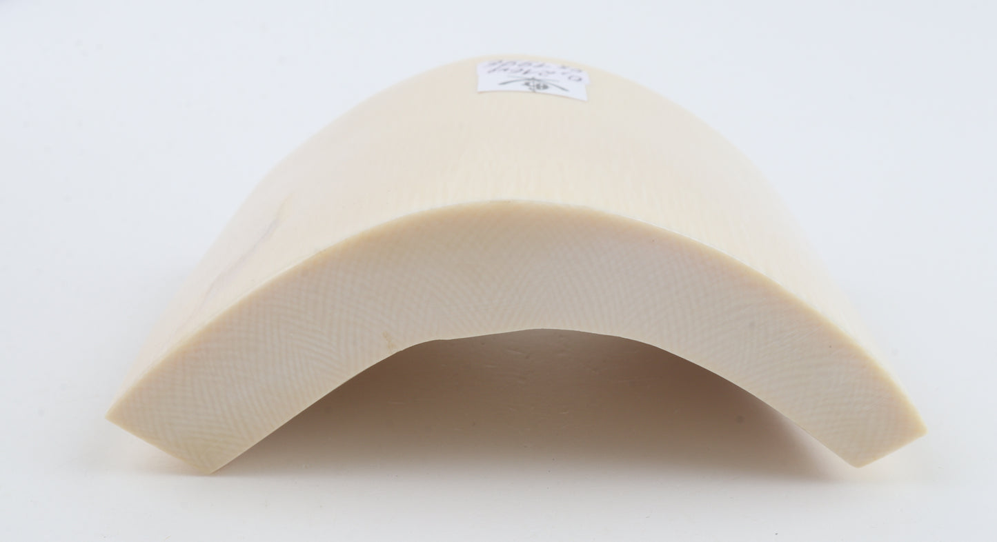 White mammoth ivory segment
