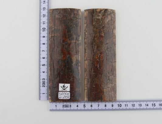 Natural mammoth bark scales