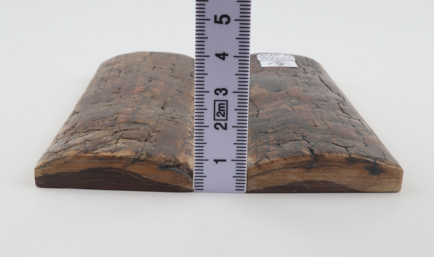Natural mammoth bark scales