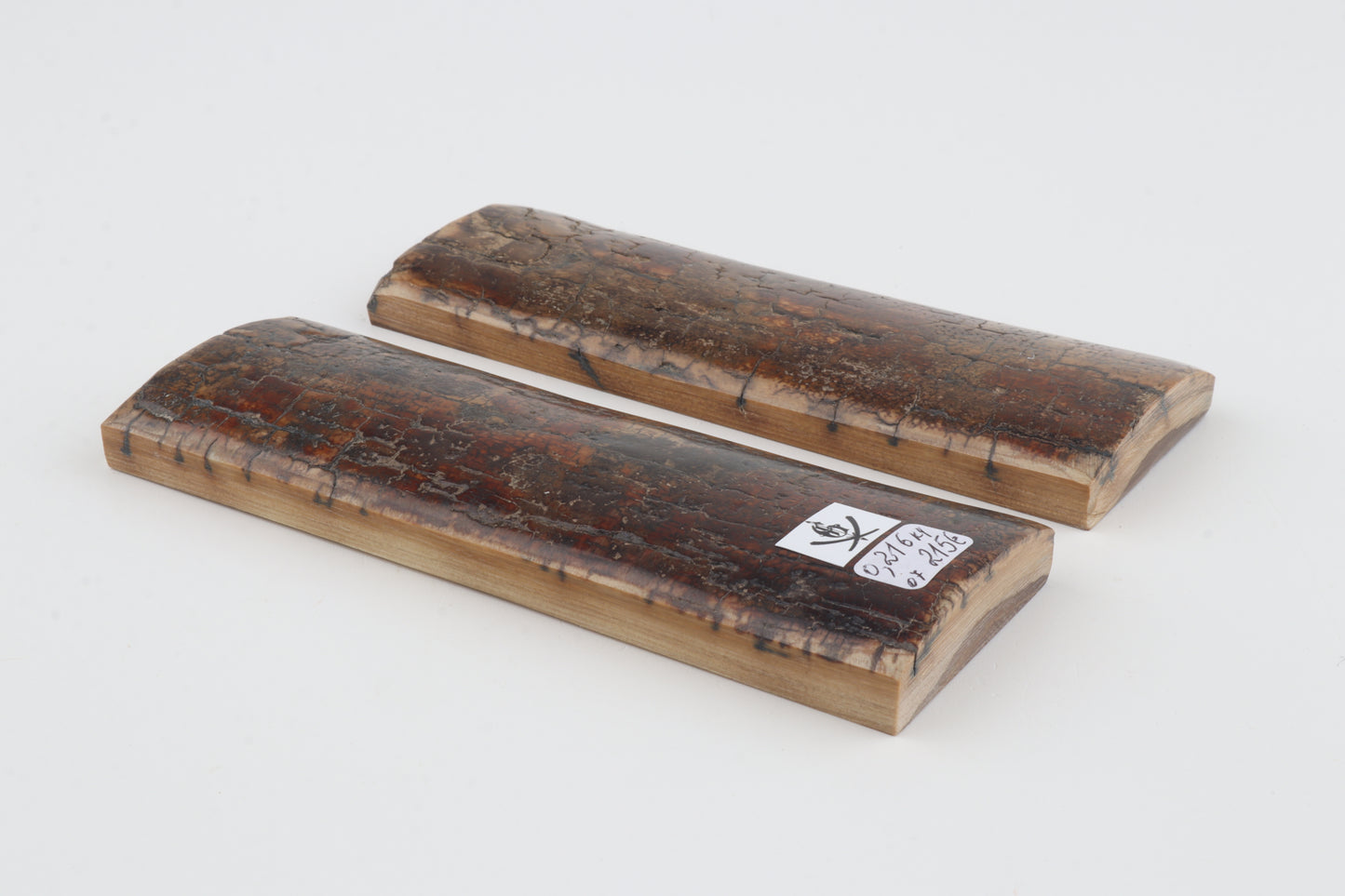 Natural mammoth bark scales