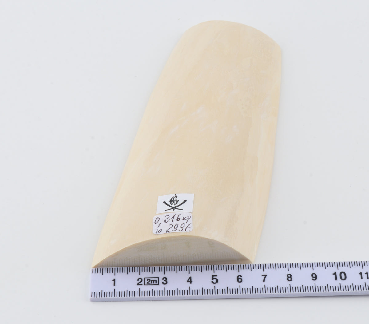 White mammoth ivory segment