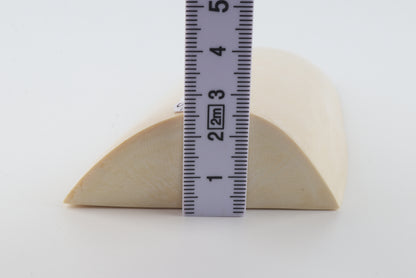 White mammoth ivory segment