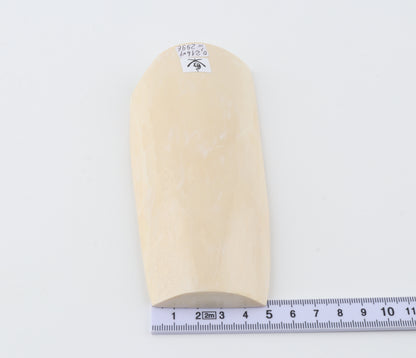 White mammoth ivory segment