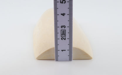 White mammoth ivory segment