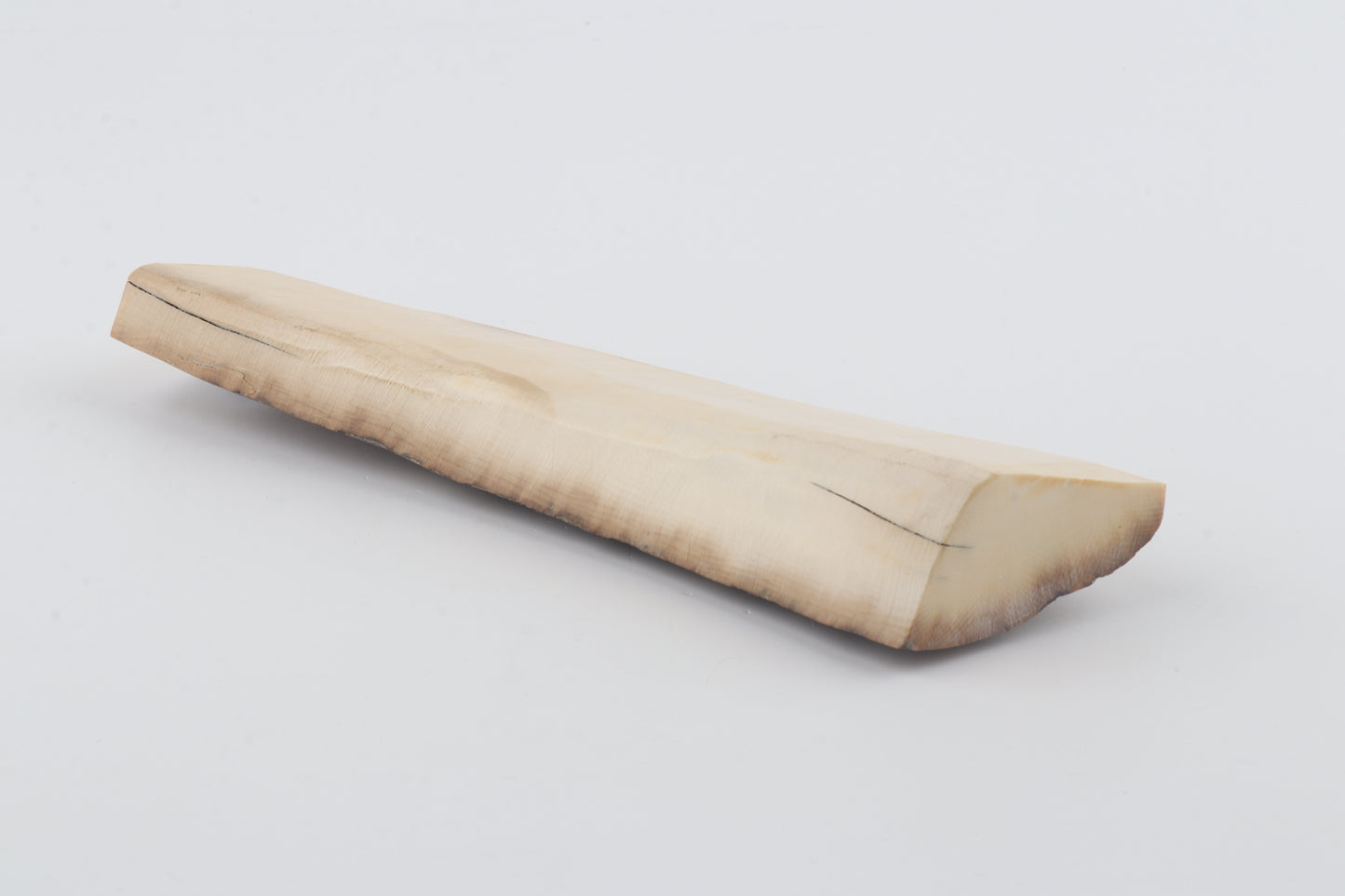 Mustard-grey mammoth bark