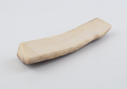 Mustard-grey mammoth bark