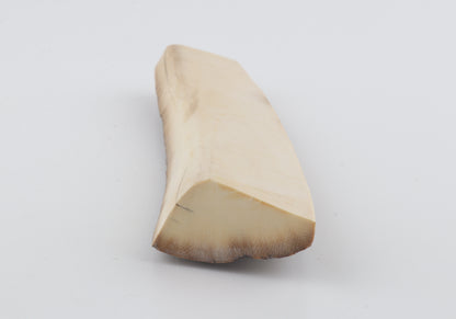 Mustard-grey mammoth bark