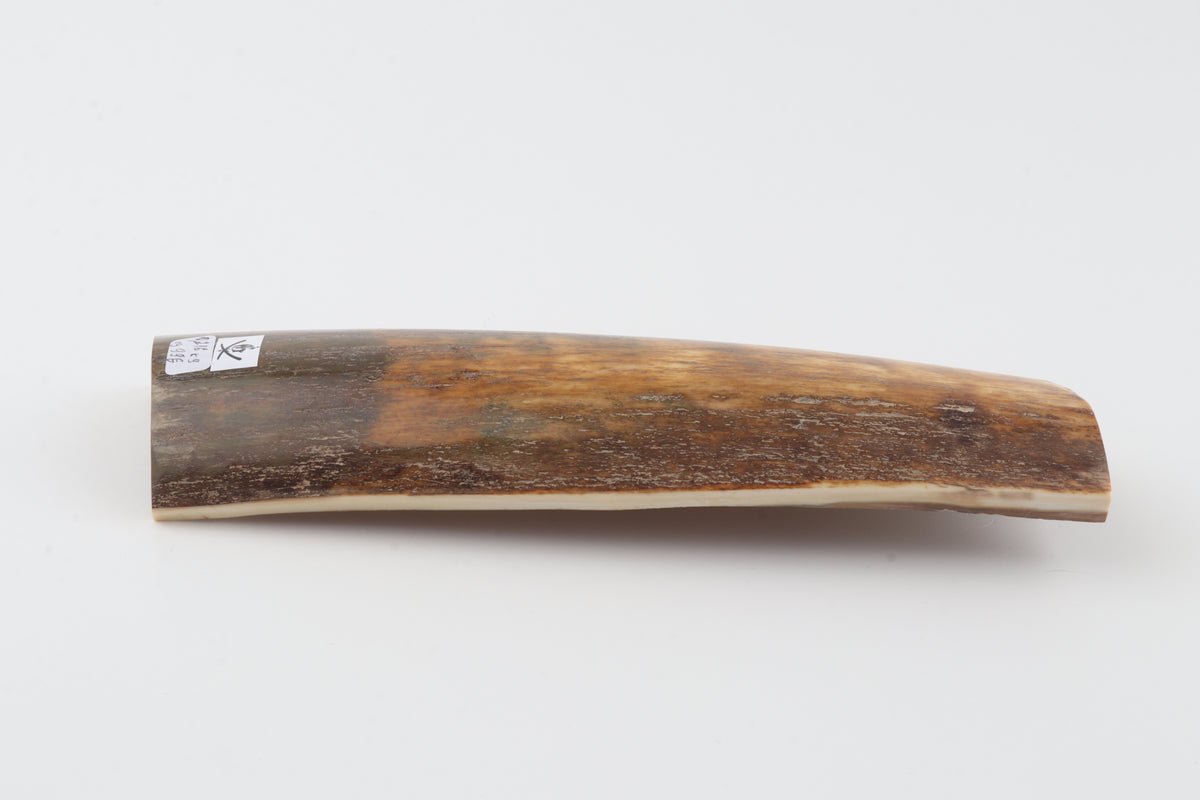 Natural mammoth bark