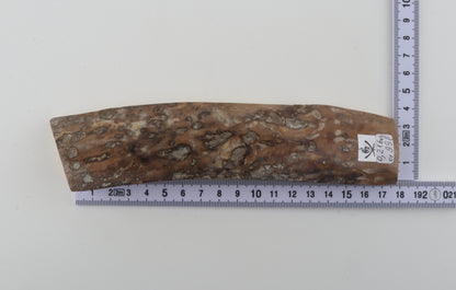 Mustard-grey mammoth bark