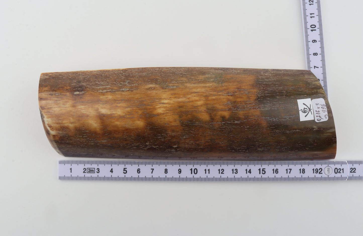 Natural mammoth bark