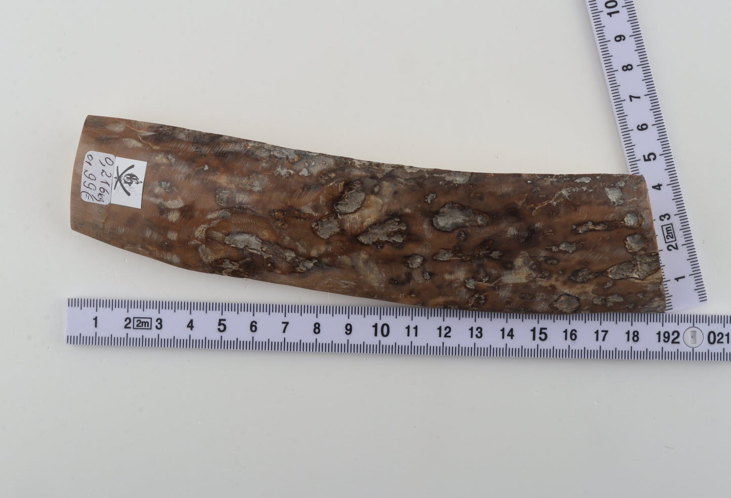 Mustard-grey mammoth bark