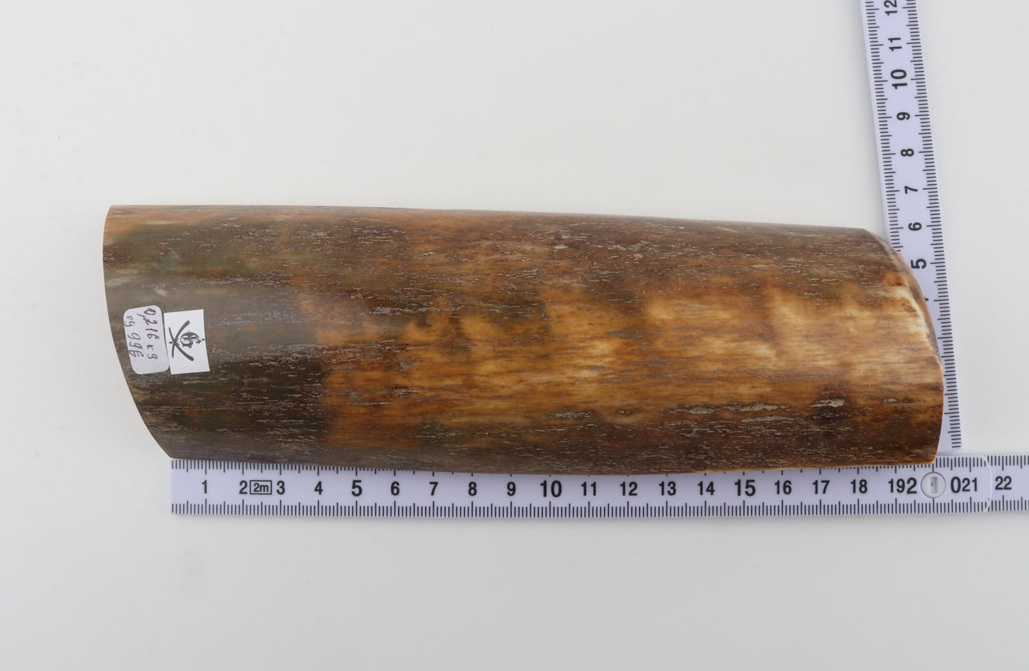 Natural mammoth bark