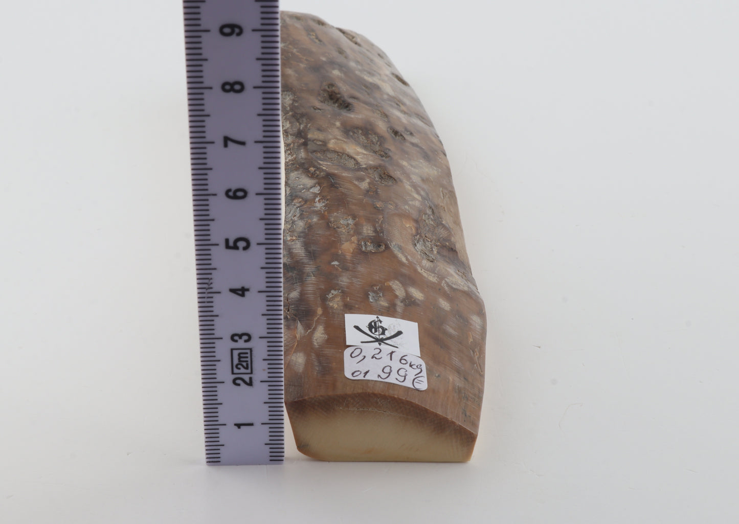 Mustard-grey mammoth bark