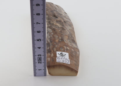 Mustard-grey mammoth bark