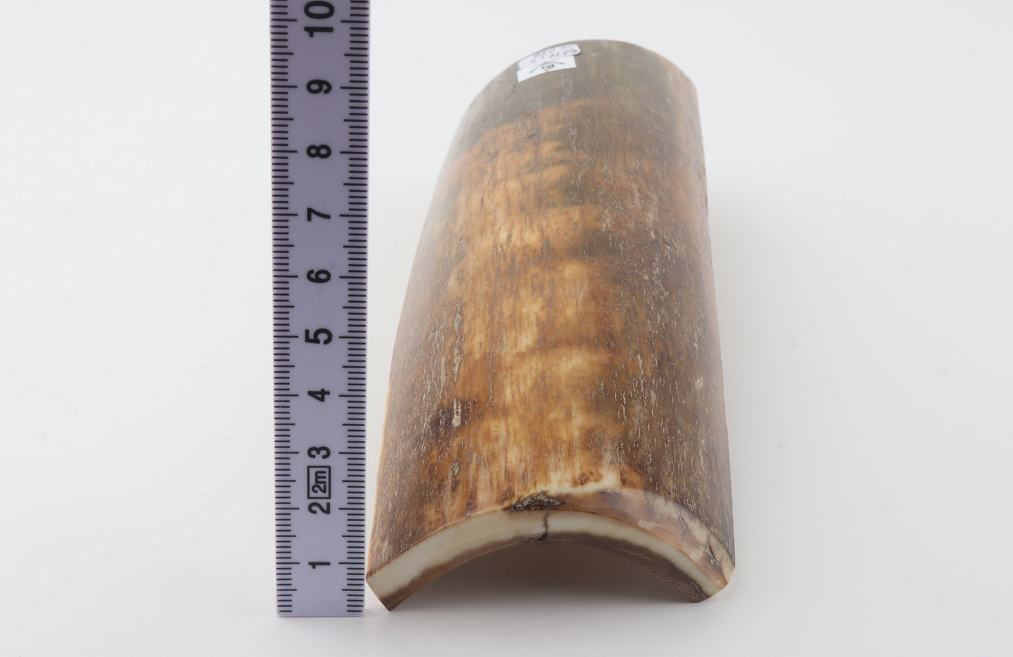 Natural mammoth bark