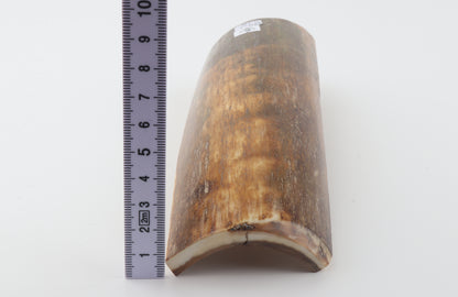 Natural mammoth bark