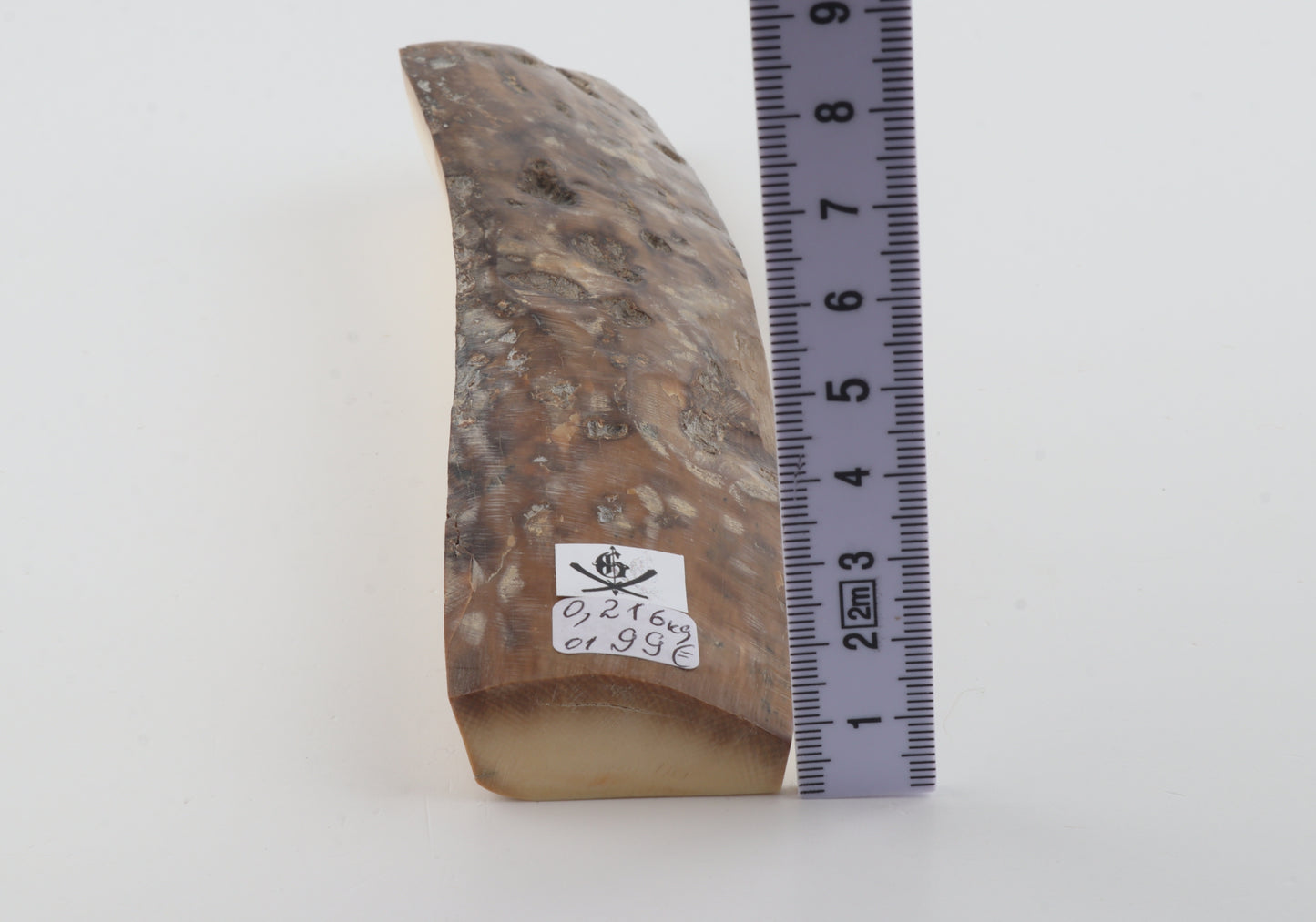 Mustard-grey mammoth bark