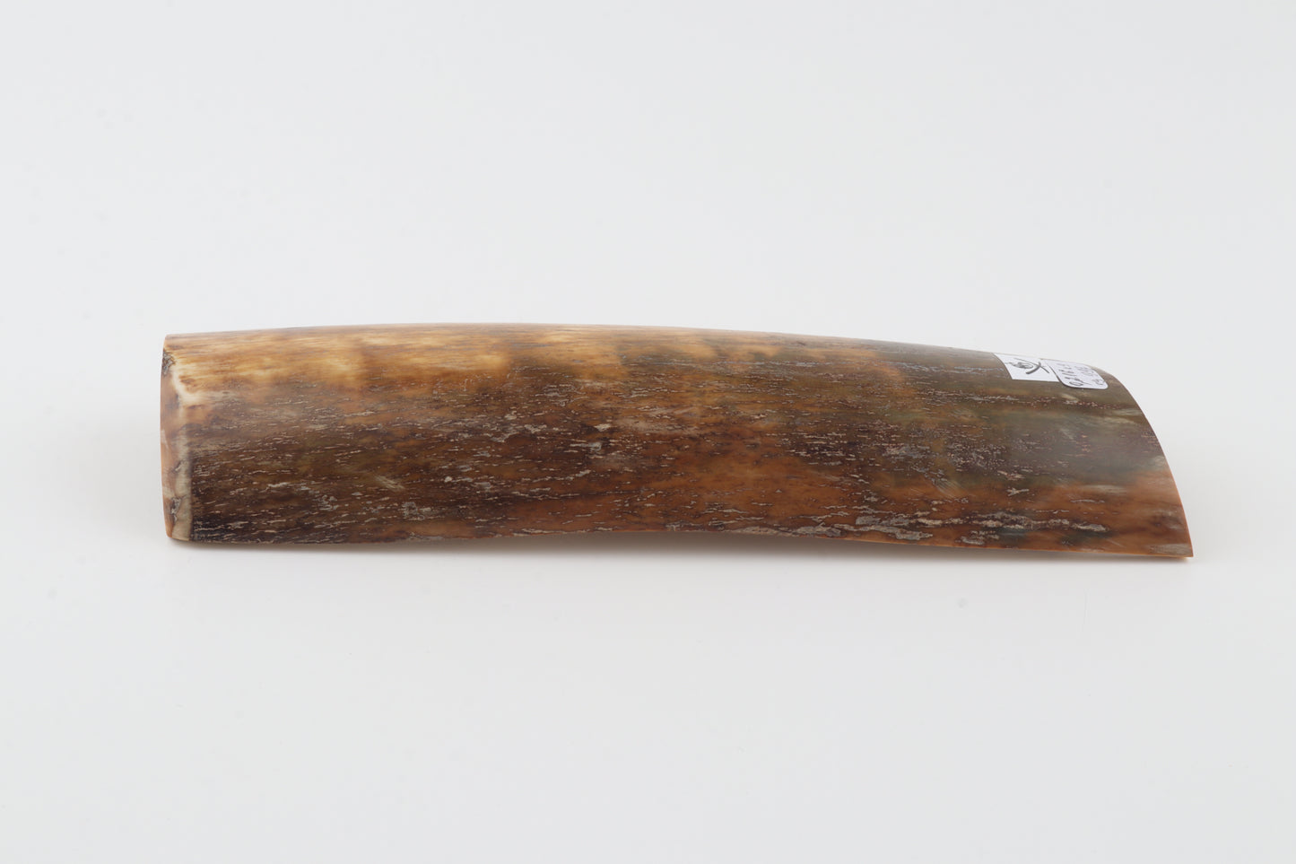 Natural mammoth bark