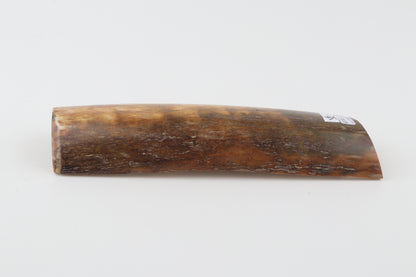 Natural mammoth bark
