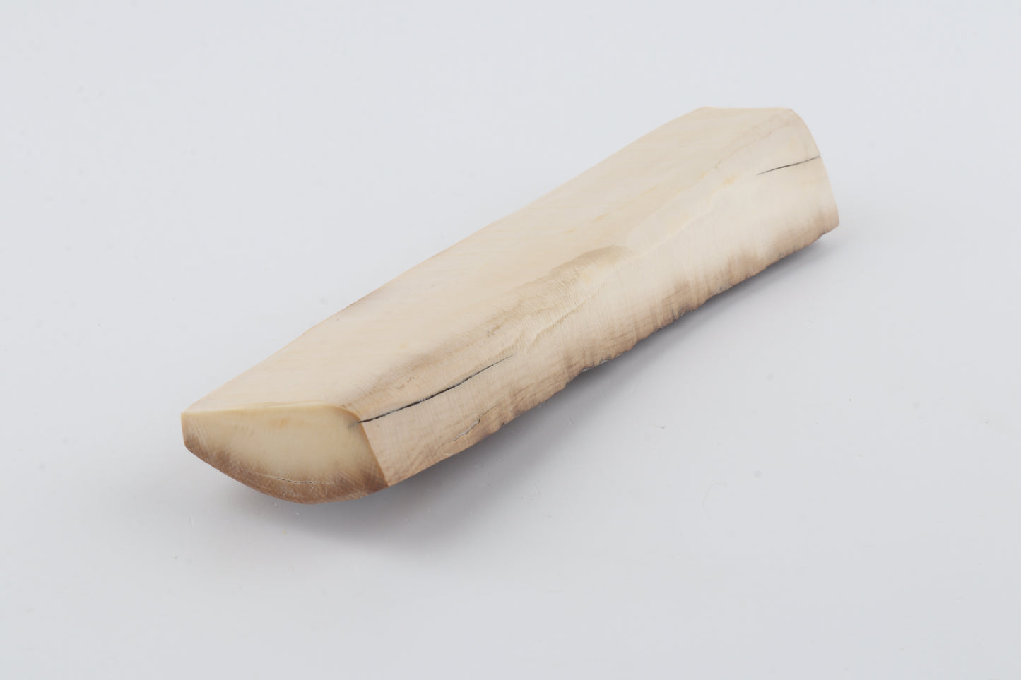 Mustard-grey mammoth bark