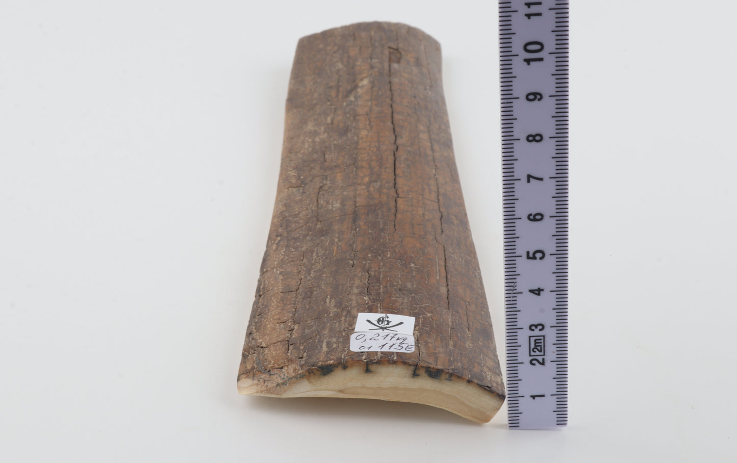 Brown-caramel mammoth bark