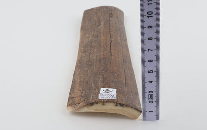 Brown-caramel mammoth bark