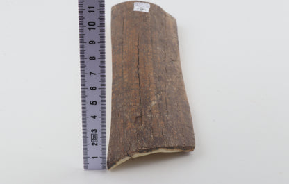 Brown-caramel mammoth bark
