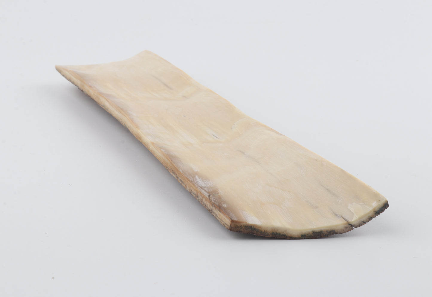 Brown-caramel mammoth bark