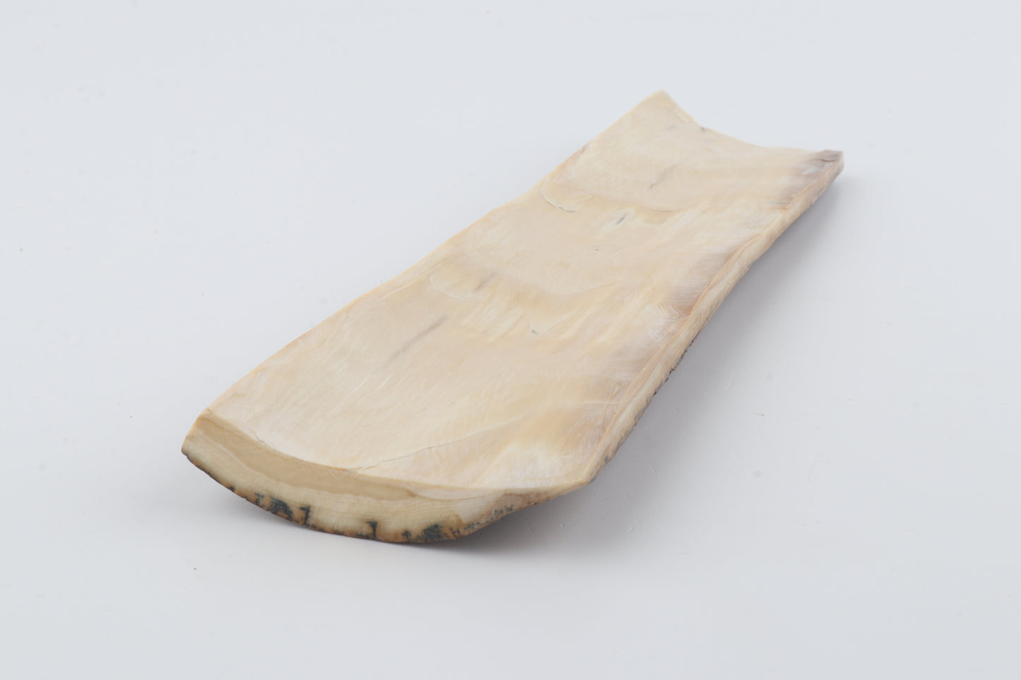 Brown-caramel mammoth bark