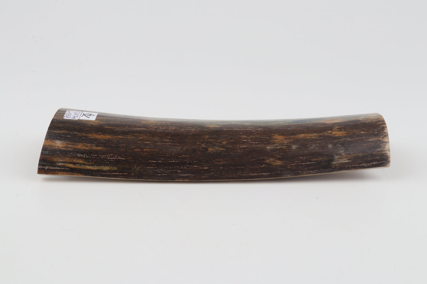 Natural mammoth bark