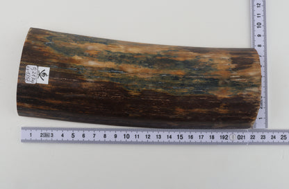 Natural mammoth bark