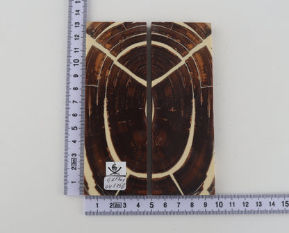 Stabilized mammoth ivory scales