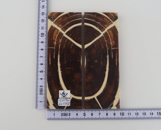 Stabilized mammoth ivory scales