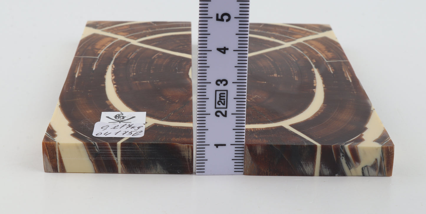 Stabilized mammoth ivory scales