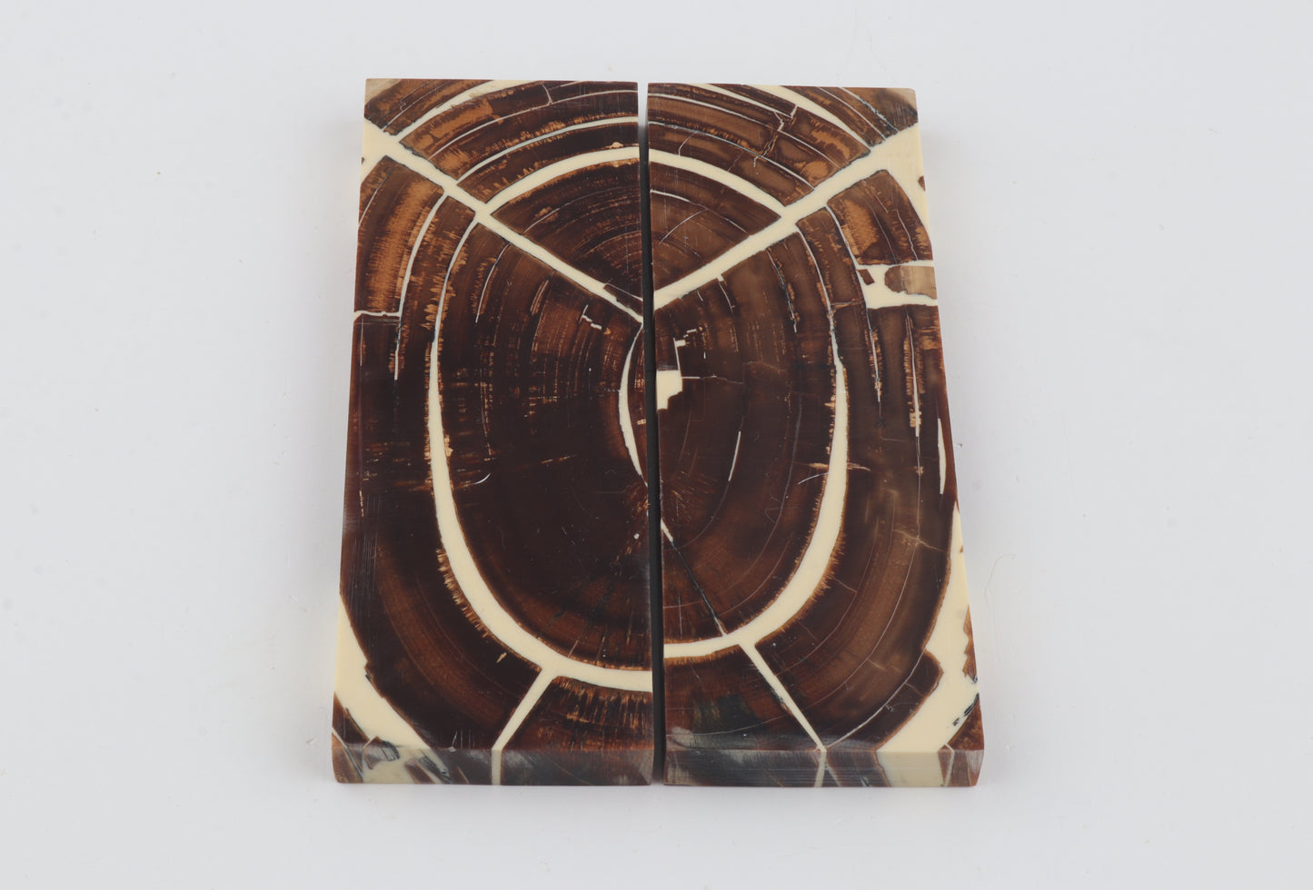 Stabilized mammoth ivory scales