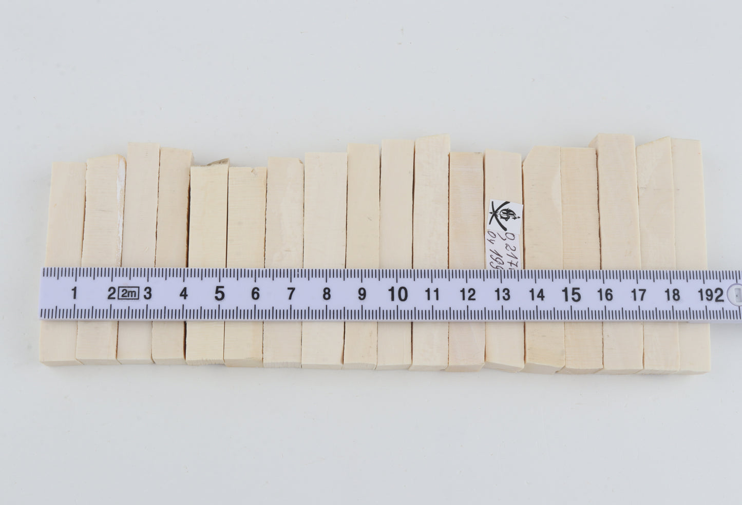White mammoth ivory segments